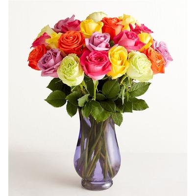 1-800-Flowers Flower Delivery Two Dozen Assorted Roses W/ Purple Vase