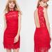 Free People Dresses | Nwt Free People Intimately Daydream Red Lace Backless Cocktail Dress | Color: Red | Size: Xs