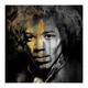 Jimi, Large Canvas artwork by Anthony Freeman, free delivery