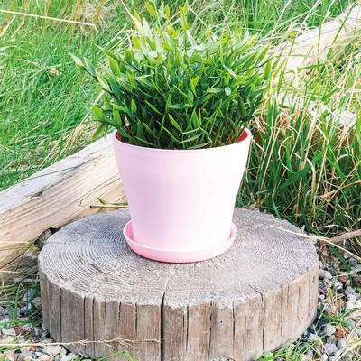 Pink Plastic Plant Pot 16X12.5Cm