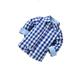 Casual Gingham Collar Shirt Long Sleeve Blue and White Toddler Boy Shirts ( Boy s)
