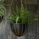 Ivyline Indoor Kensington Brass Hanging Planter in Black - Lightweight, Stylish & Waterproof - Premium Quality Mild Steel Flower Pot - H34cm x D30cm