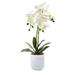 18.5" Phalaenopsis Artificial Floral Arrangement with Frosted Glass Planter