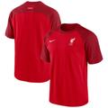 Men's Nike Red Liverpool Travel Raglan T-Shirt