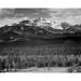 Trees in foreground snow covered mountain in background in Rocky Mountain National Park Colorado Poster Print by Ansel Adams (24 x 30)