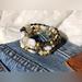 Anthropologie Jewelry | Nwot Wrap-Around Beaded Boho Bracelet | Color: Gold/White | Size: Os