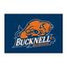 Bucknell Bison 20" x 30" Floor Mat