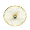 20 144 Spoke Coaster Wheel 14G Gold. Bicycle wheel bike wheel Lowrider bike wheel lowrider bicycle wheel bmx