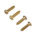 50 Pieces Golden Tuner Tuning Key Mounting Iron Screws for Electric Acoustic Guitar Bass Replacement Parts