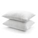 Martha Stewart Memory Foam Plush Support Pillow Polyester/Memory Foam | 28 H x 20 W x 5 D in | Wayfair DS2515CHAR-1J2PK