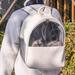 Tucker Murphy Pet™ Cat Bag Spring Outing Bag Portable Large Capacity Breathable Cat Backpack Dog Bag Spacecraft Pet Backpack Cat Backpack | Wayfair