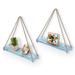 Longshore Tides Antrina 2 Piece Triangle Solid Wood Bracket Shelf Wood in Blue | 25 H x 16.93 W x 5.16 D in | Wayfair