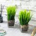 Primrue 2 Piece Artificial Onion Grass in Vase Set Glass/Plastic | 7.87 H x 3.44 W x 3.44 D in | Wayfair F3ED35C988B94F6B8A1D77B3F63EA7BD