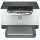 HP LaserJet HP M209dwe Printer, Black and white, Printer for Small off