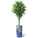 SIGNLEADER Artificial Tree In Modern Planter, Fake Ficus Tree Home Decoration (Plant Pot Plus Tree) Silk/Polyester/Plastic | 75 H in | Wayfair