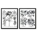 Red Barrel Studio® 2 Piece Wrapped Canvas & Framed Print Set - Besler by New York Botanical Garden in Black/White | 14 H x 11 W in | Wayfair