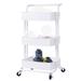 Dubbin 3-Tier Metal Rolling Utility Cart - Mobile Storage Organizer Metal in White | 32.68 H x 16.93 W x 13.39 D in | Wayfair FNCART171333W!