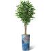 SIGNLEADER Artificial Tree In Modern Planter, Fake Ficus Tree Home Decoration (Plant Pot Plus Tree) Silk/Polyester/Plastic in Blue | 75 H in | Wayfair