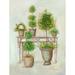 Wildon Home® Potting Bench & Topiaries II - Wrapped Canvas Print Canvas | 16 H x 12 W x 1.25 D in | Wayfair F9895DE7E20A4786A5BEF7EEE4420927