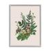 Woodland Botanical Sprouting Ferns Botanical & Floral Graphic Art Gray Framed Art Print Wall Art