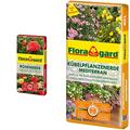 Floragard Rosenerde 40 Liter - torfreduzierte Spezialerde mit Ton für Rosen im Garten und im Kübel & Kübelpflanzenerde mediterran 40 L - Spezialerde für große Kübel Zitruspflanzen