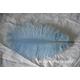 200 Pcs Light Blue Baby Ostrich Feather Plume For Wedding Party Supply Centerpiece