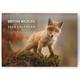 2024 British Wildlife Calendar Wall Monthly Planner Family Home Organiser