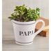 "Papa" Mug Succulent Garden, Family Item Plants Succulents, Flowers by Harry & David