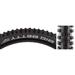 Schwalbe Big Betty Tire 27.5 x 2.8 Tubeless Blk Evo Line Soft Super Trail MTB