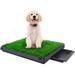 Vivifying Turf Potty Pads for Puppy Dogs Pee Training Dog Grass Pet Loo Indoor/Outdoor Washable Pet Mat Fake Artificial Grass for Dogs Potty 25 x20 with Tray