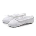 Dance Shoes Children Adult Two-soled Shoes for Cat Claw Shoes Ballet Shoes Dance Shoes Women Soft Sole Lace-free Multico