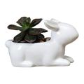 Lomubue Flower Pot Minimalistic Reusable Anti-deformation Stable Convenient Desktop Decor Ceramic Rabbit Shape Planter Pot Succulent Accessories