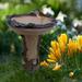 Polyresin Bird Bath Bowl for Garden Brown Pedestal Handmade Polyresin Big Tree Shape Bird Bath Brown Pedestal Handmade Gifts for Outdoor Home Garden Yard Lawn Decorations