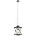 -1 Light Outdoor Hanging Lantern-with Lodge/Country/Rustic Inspirations-16.75 inches Tall By 9.5 inches Wide-Weathered Zinc Finish-Led Lamping Type