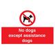 Schild mit Aufschrift "No dogs except aid dogs", 600 x 400 mm, A2L