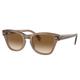 Ray-Ban RB0707S Sunglasses Transparent Light Brown Frame Clear Gradient Brown Lens 53 RB0707S-664051-53