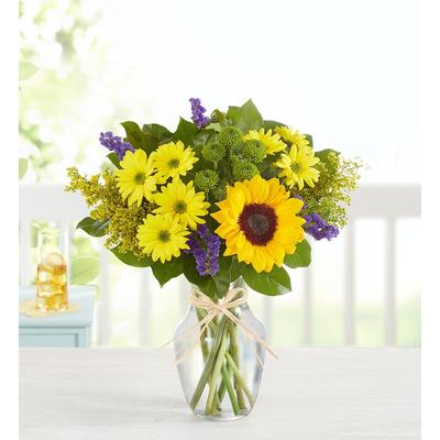 1-800-Flowers Seasonal Gift Delivery Fields Of Europe Summer Small