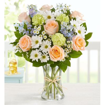 1-800-Flowers Seasonal Gift Delivery Summer Dunes Xl