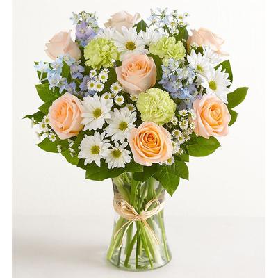 1-800-Flowers Seasonal Gift Delivery Summer Dunes Xl