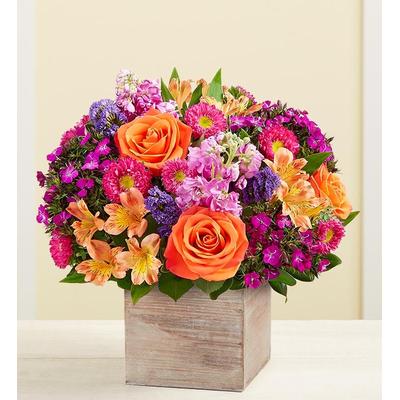 1-800-Flowers Flower Delivery Splendid Beauty Bouquet Large