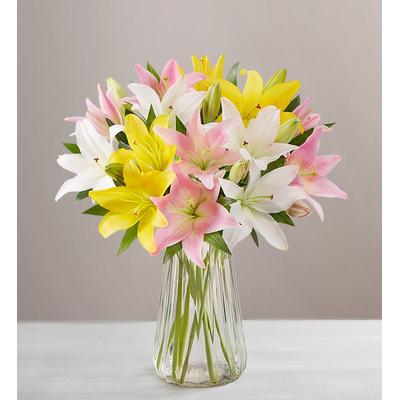 1-800-Flowers Flower Delivery Sweet Spring Lilies Single Bouquet W/ Clear Vase