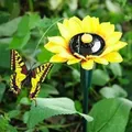 Décoration de jardin à énergie solaire papillons volants et colibris décoration d'extérieur pour