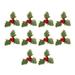 NUOLUX 10pcs Creative Christmas Plant Stem Pick Garland Accessories Decoration Artificial Berry Green Leaf Pick Plant for DIY Home Ornament (Red Berry Style)