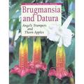 Brugmansia and Datura : Angel s Trumpets and Thorn Apples 9781552095584 Used / Pre-owned