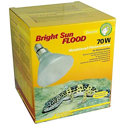 Bright Sun flood Desert - 70W - Lucky Reptile