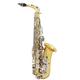 CACAGOO Alto Saxophone Sax Glossy Brass Engraved Eb E-Flat Natural White Shell Button Wind Instrument with Case Mute Gloves Cleaning Cloth Belt Brush