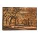 Red Barrel Studio® Autumn Colors in Central Park, New York City, USA by Jan Becke - Unframed Photograph on Wood Metal in Brown/Orange | Wayfair