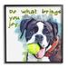 Stupell Industries Do What Brings You Joy Dog Phrase by Kim Curinga - Floater Frame Graphic Art on in Blue/Brown/Green | Wayfair au-200_fr_12x12