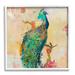 Stupell Industries Modern Peacock Cherry Blossoms by Evelia Designs - Floater Frame Graphic Art on in Brown/Green/White | Wayfair au-229_wfr_17x17