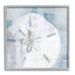 Stupell Industries Pastel Blue Sand Dollar Seashell by Nina Blue - Floater Frame Graphic Art on in Blue/Brown/Gray | 12 H x 12 W x 1.5 D in | Wayfair